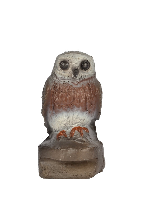 60173 FB Little Owl