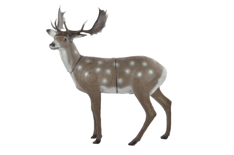 60239 FB Standing Fallow Deer