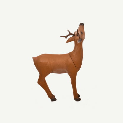 Longlife äsender Rehbock