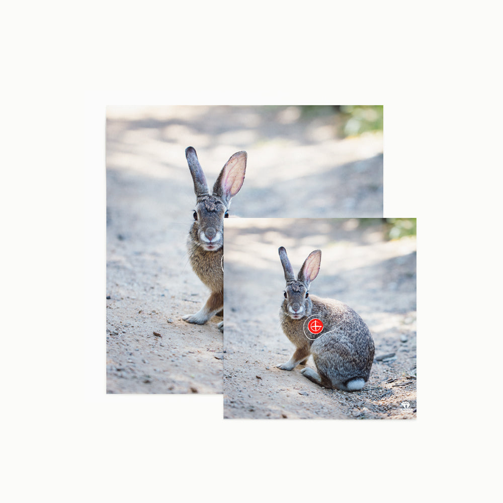 Tierbild Zielscheibenauflage 40 cm Hase