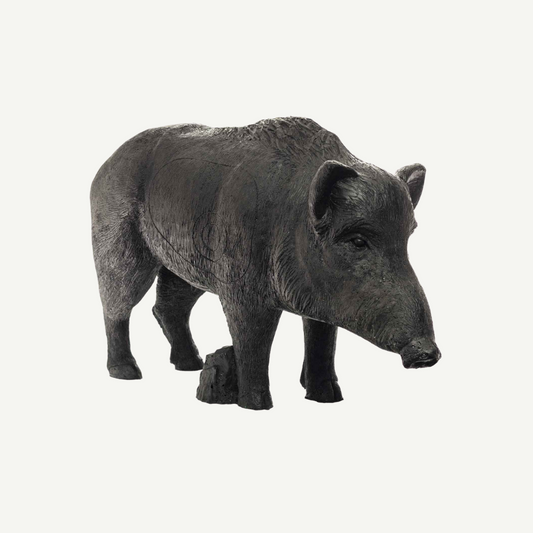 100505 IBB 3D old adults Wild Boar Sow