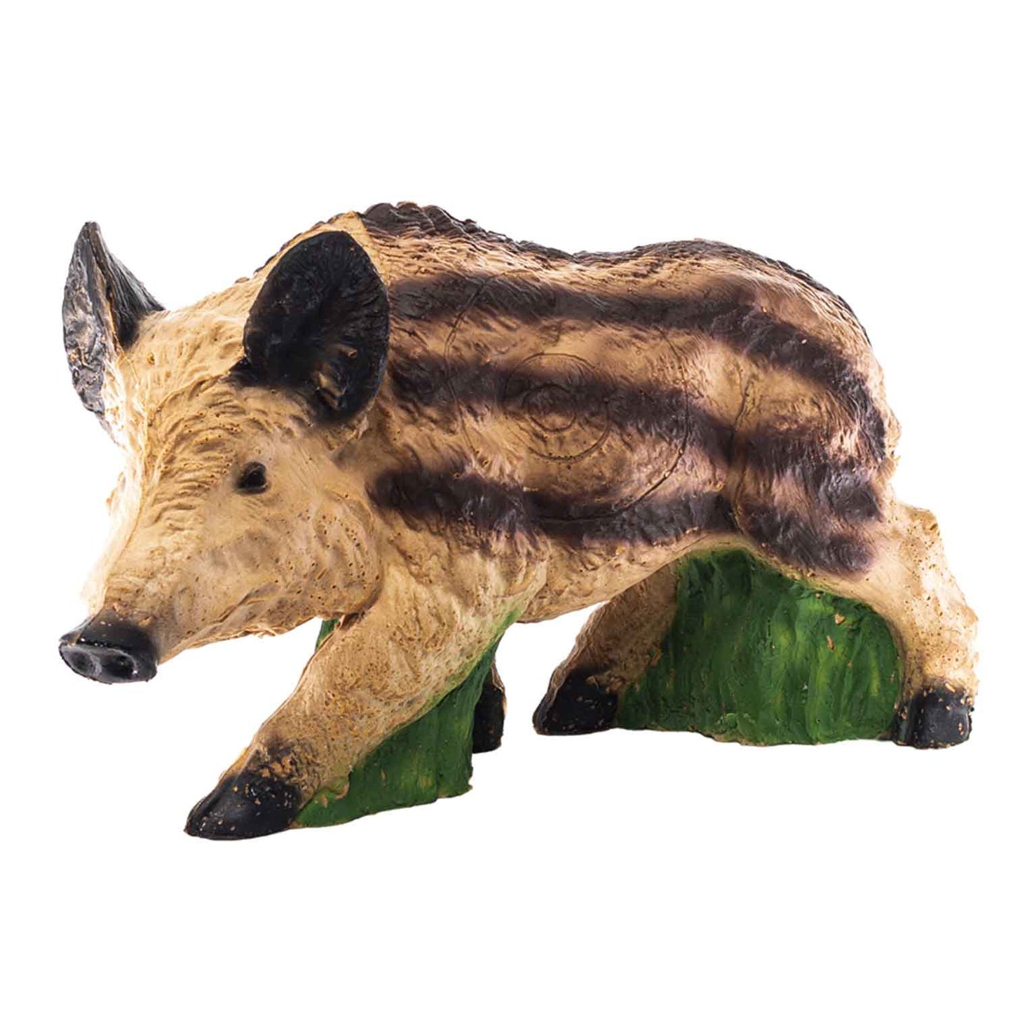100503 IBB 3D target young Boar