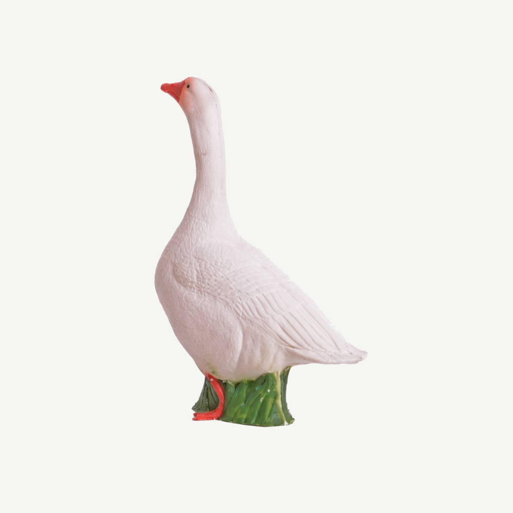 100425 IBB 3D Goose 