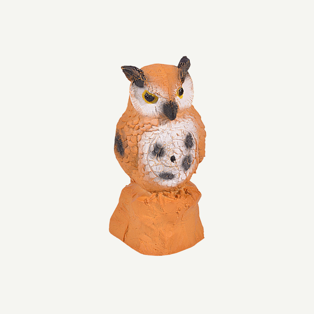 100429 IBB 3D target owl