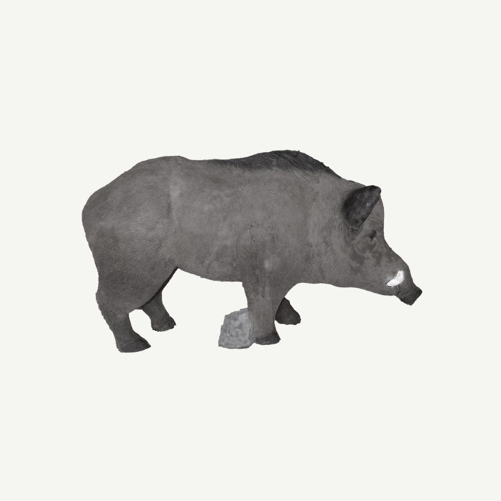 100414 IBB 3D big Wild Boar - Tusker