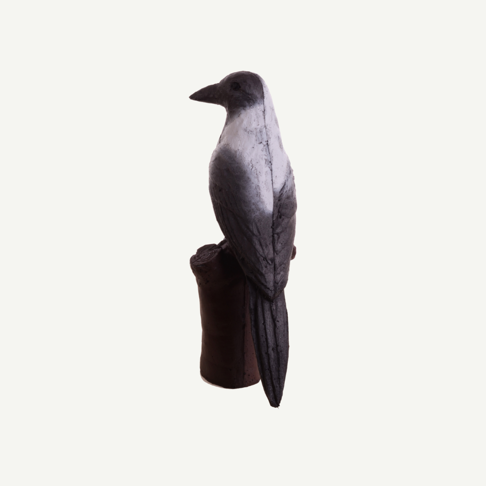 100462 IBB 3D Target Hooded crow