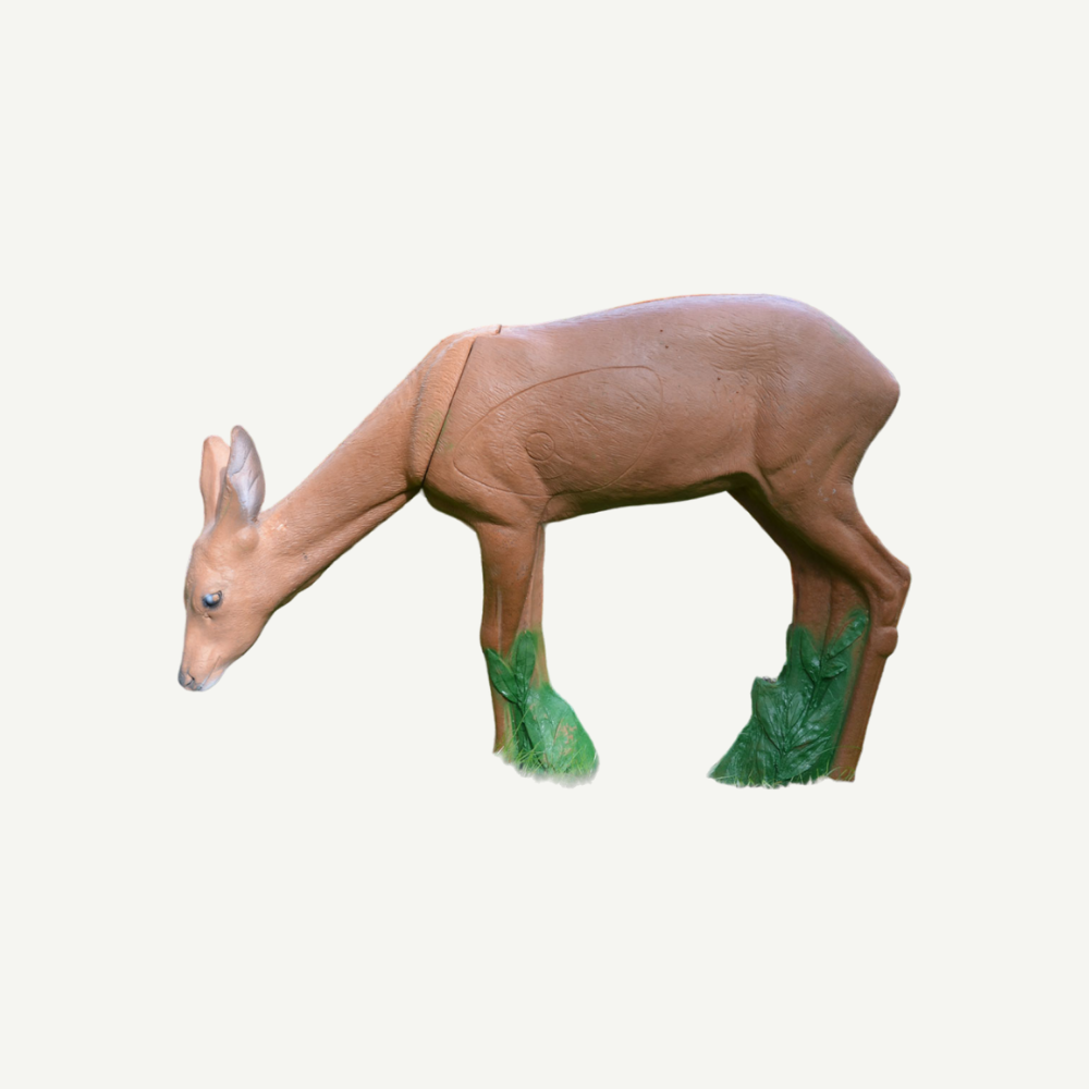 IBB 3D Tier Rehgeiß äsend