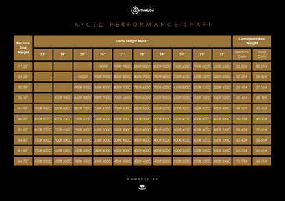 Penthalon Performance A/C/C Aluminium-Carbon Schaft (12 St.)